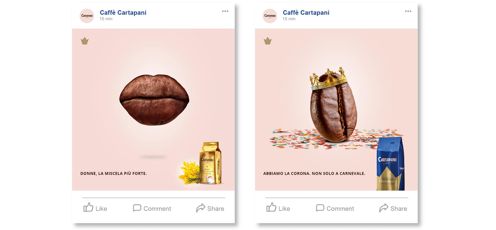 CARTAPANI-Portfolio-web4
