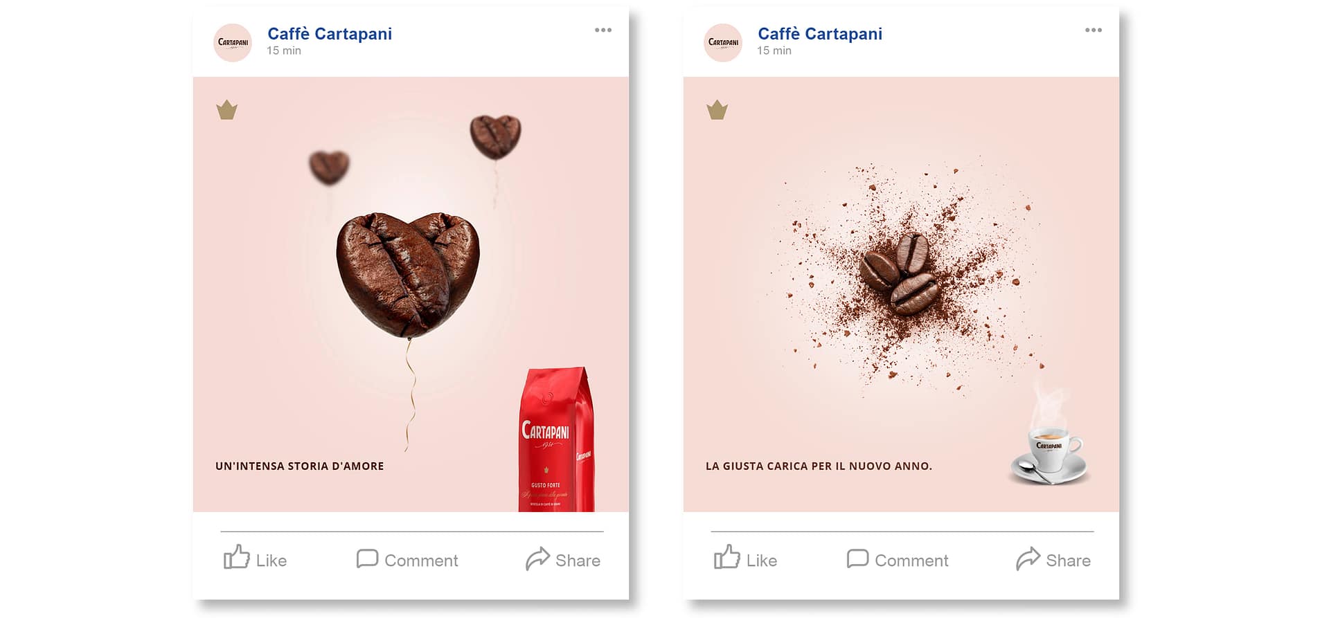 CARTAPANI-Portfolio-web5