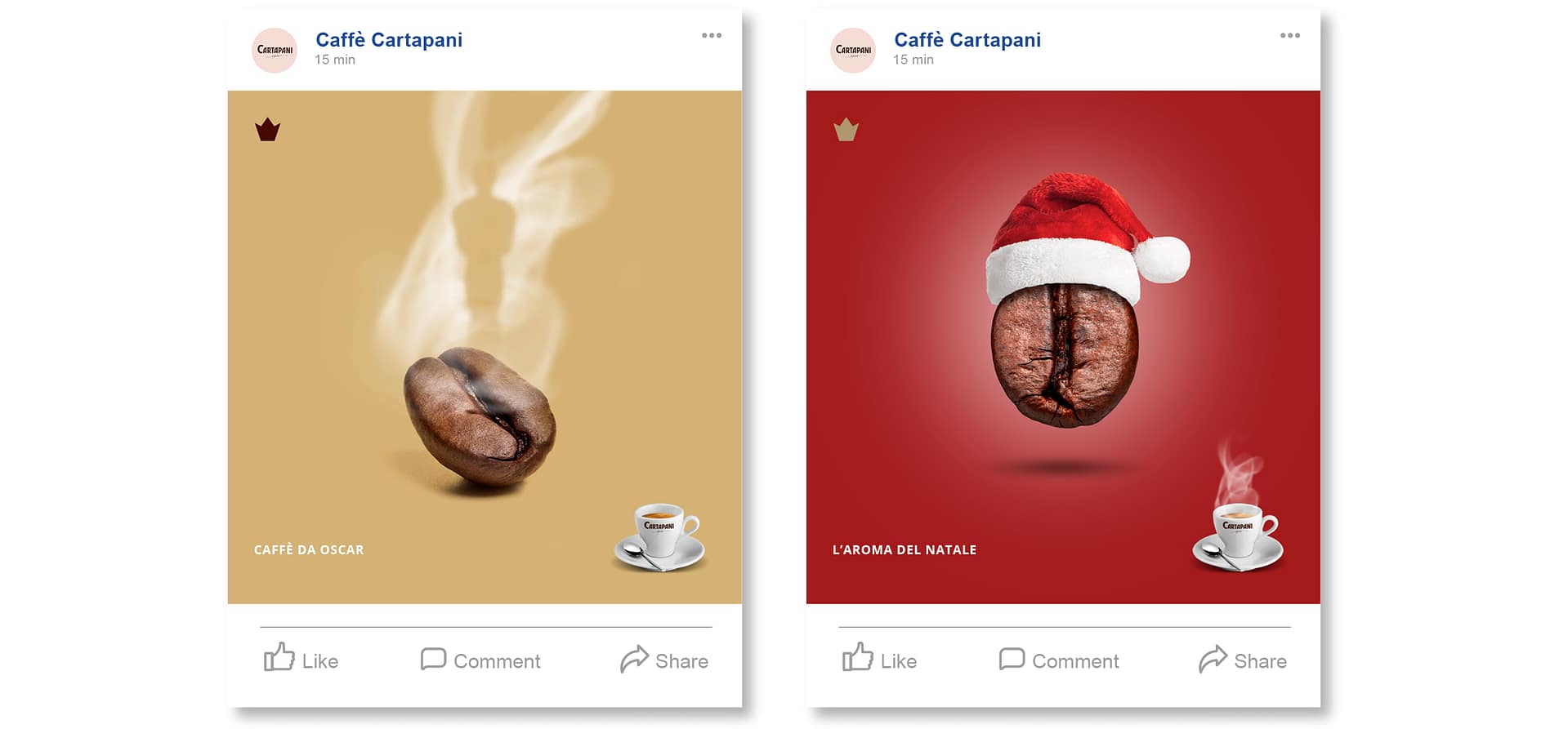 CARTAPANI-Portfolio-web6