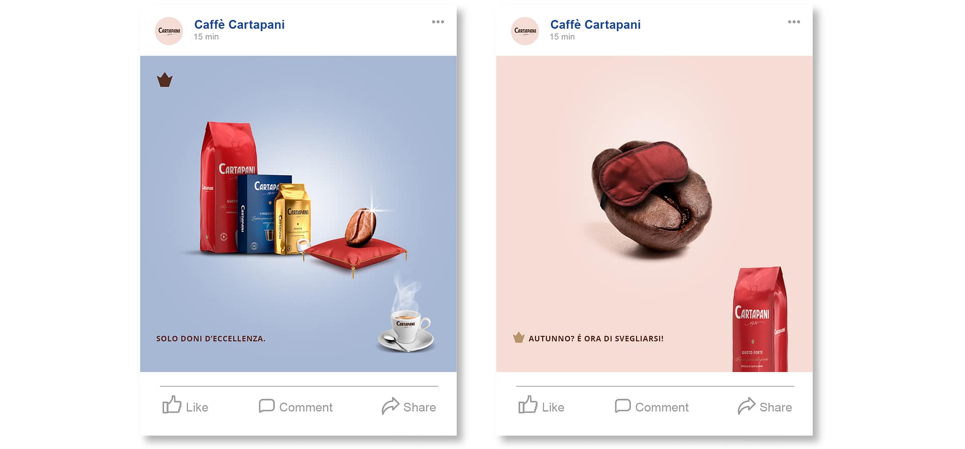 CARTAPANI-Portfolio-web7